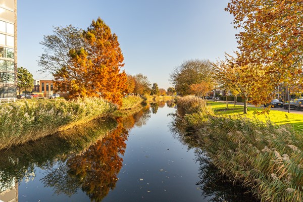 Avenue Carnisse 125-34.jpg